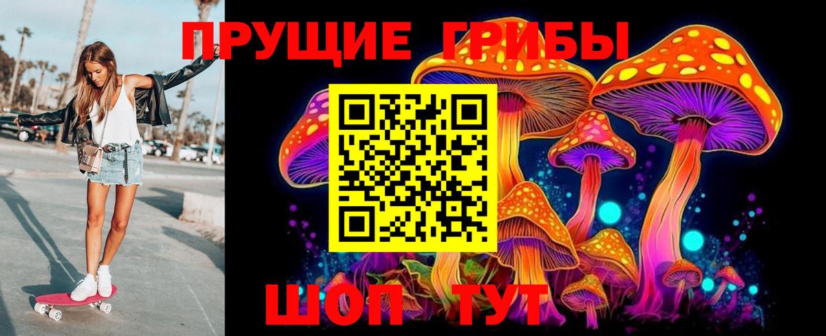 Галлюциногенные грибы GOLDEN TEACHER  Вход с VPN  Галлюциногенные грибы Psilocybine cubensis  Асбест 
